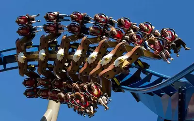 Wild Eagle roller coaster at Dollywood