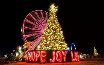 United We Stand Branson Tree