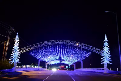 Winterfest lights in Pigeon Forge