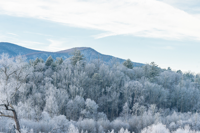 snow in the Smoky Mountains
