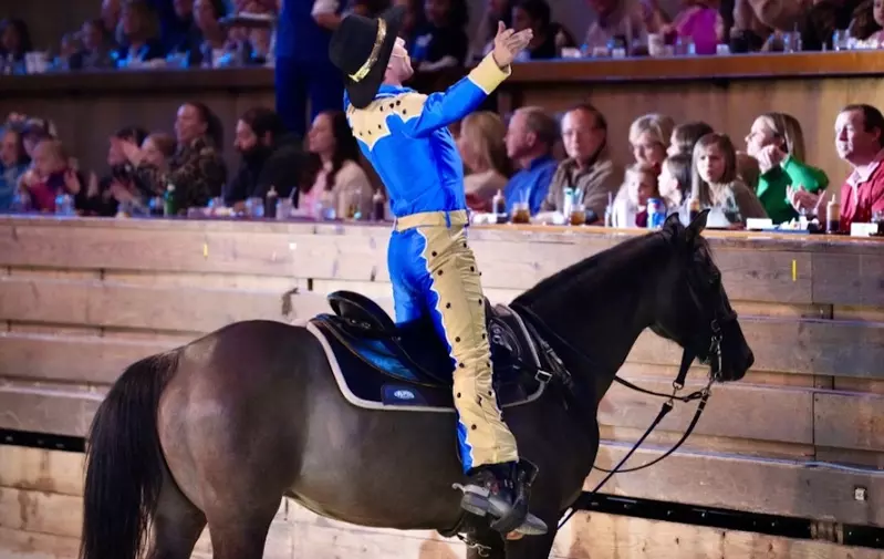 performer facing the audience at Dolly Parton's Stampede