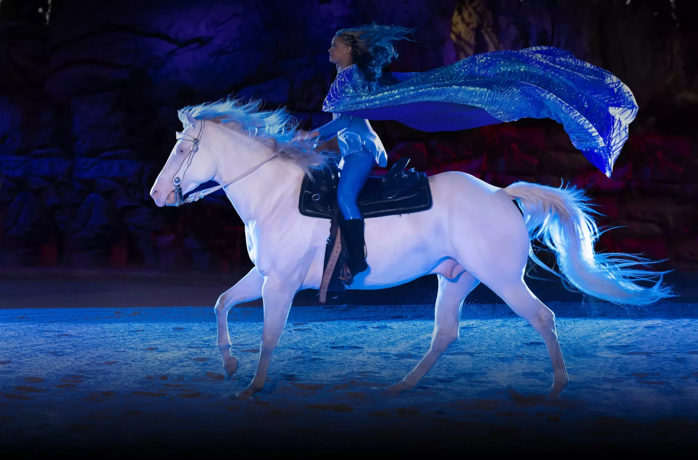 christmas-horse-rider